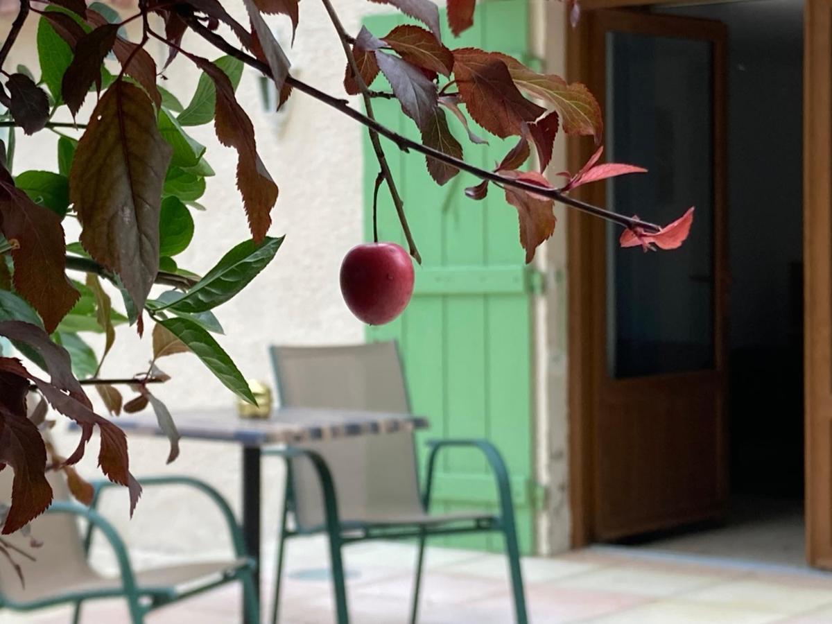 Appartement Pavillon de l’Étang à Châteauneuf-du-Rhône Extérieur photo
